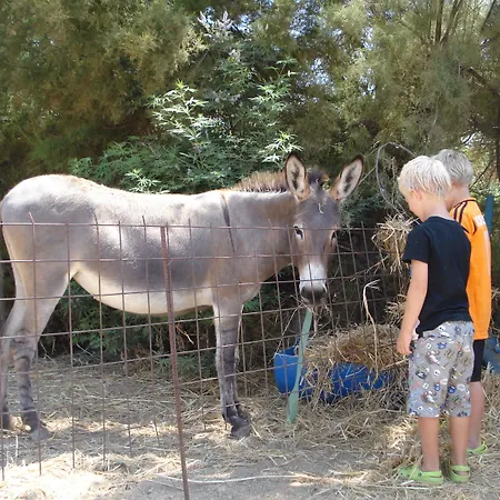 Agios Prokopios Hotel