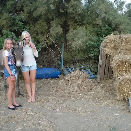 Lägenhetshotell Agios Prokopios Hotel