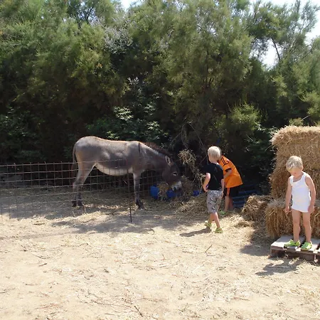 Agios Prokopios Hotel Lägenhetshotell