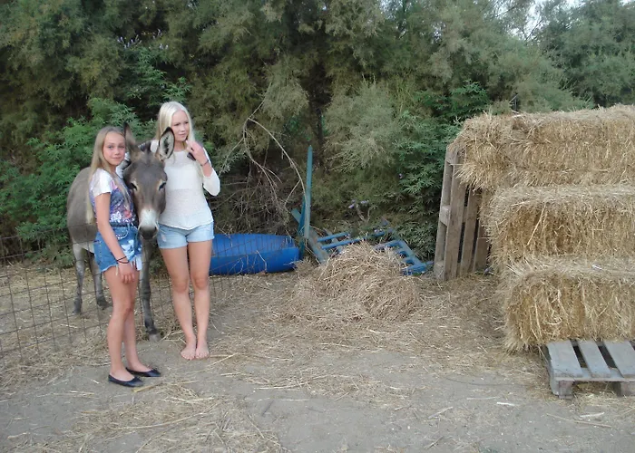 Aparthotel Agios Prokopios Hotel