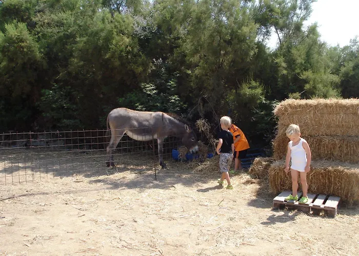 Agios Prokopios Hotel מלון דירות